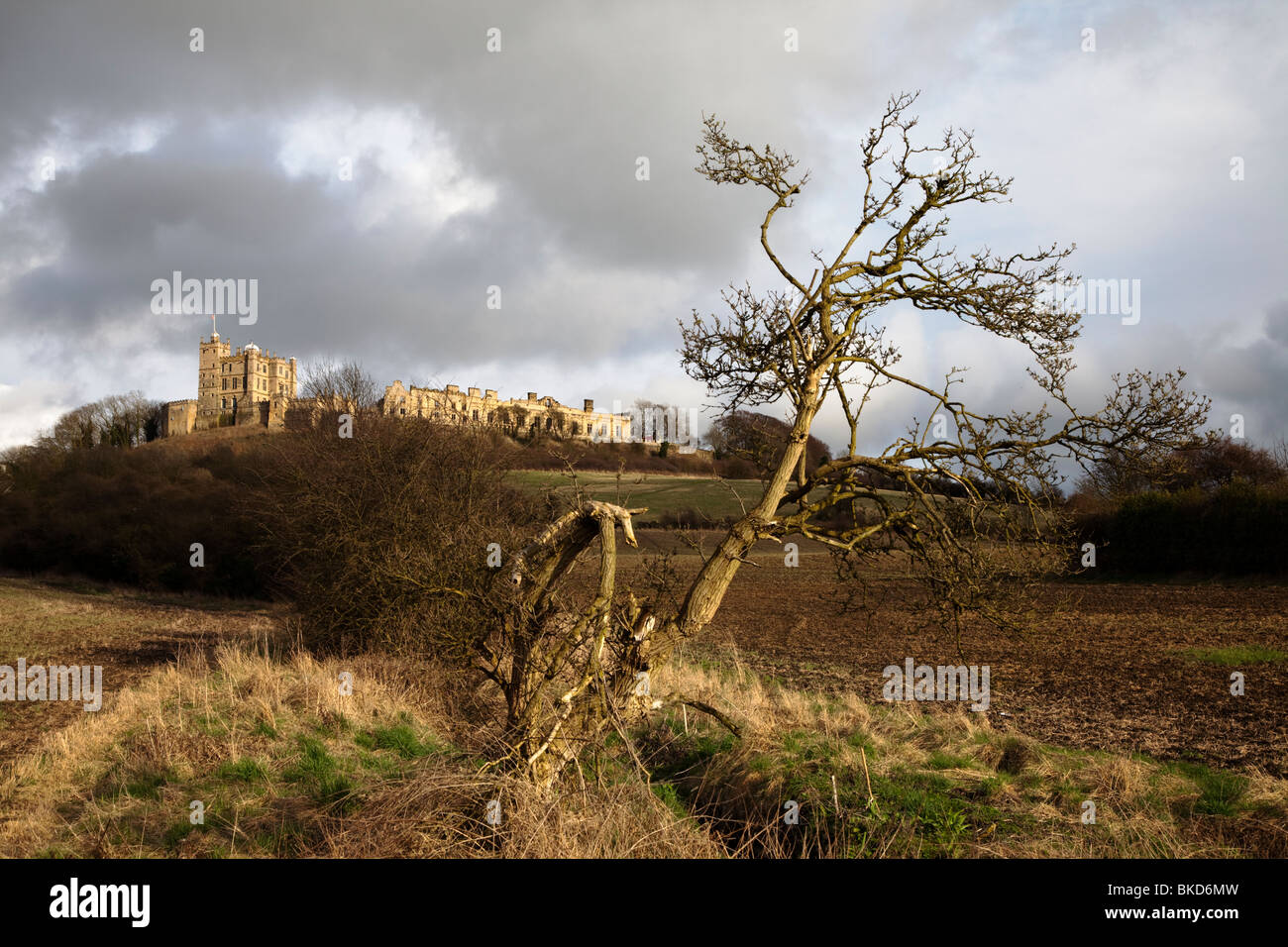 Château de Bolsover dans le Derbyshire, East Midlands, Angleterre Royaume-Uni Banque D'Images