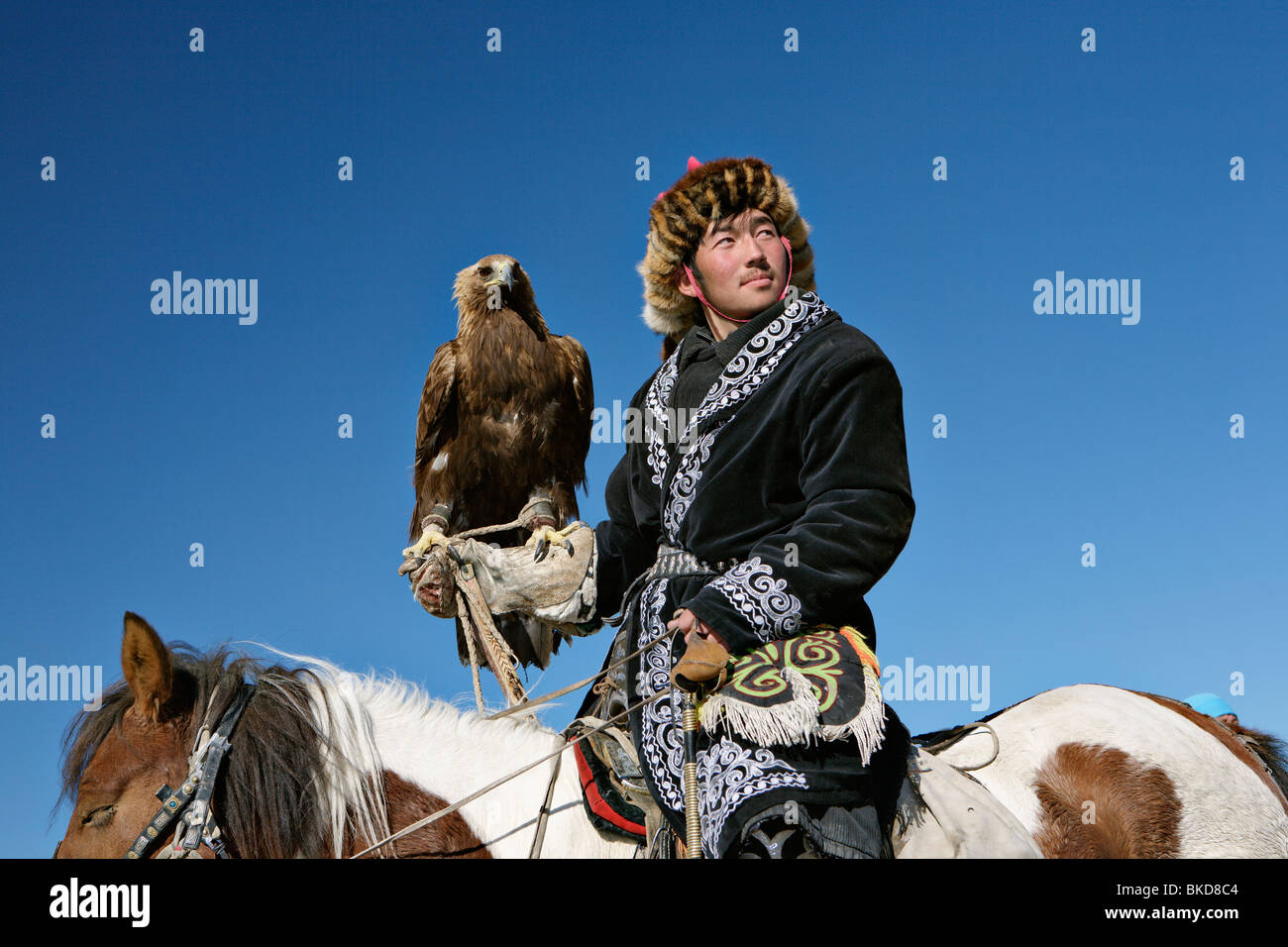 Eagle hunter posant aux Golden Eagle Festival. Bayan Olgii, la Mongolie. Banque D'Images