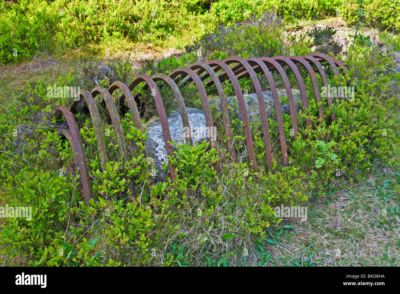 Bataille De Sheriffmuir Banque d'image et photos Alamy