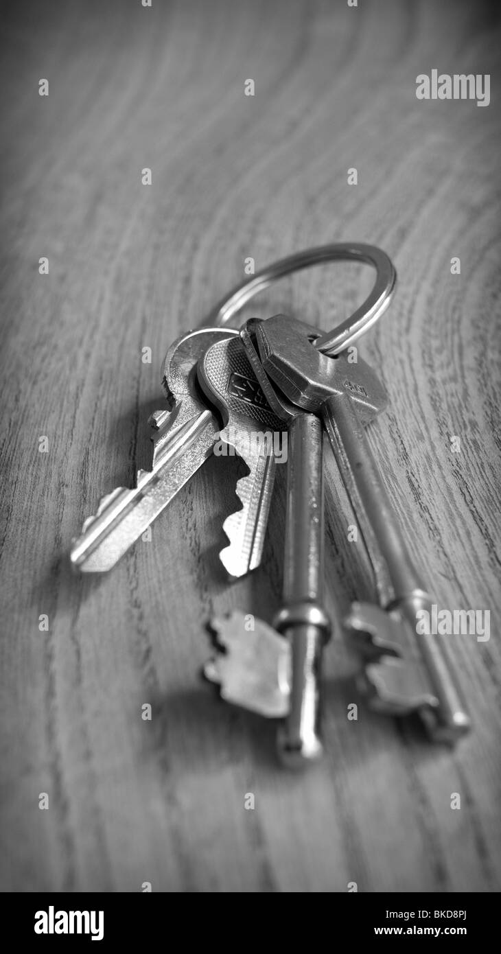 Tas de clés de maison à un porte-clés Banque D'Images