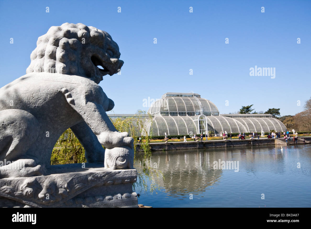 Le Palm House à Kew Gardens Banque D'Images