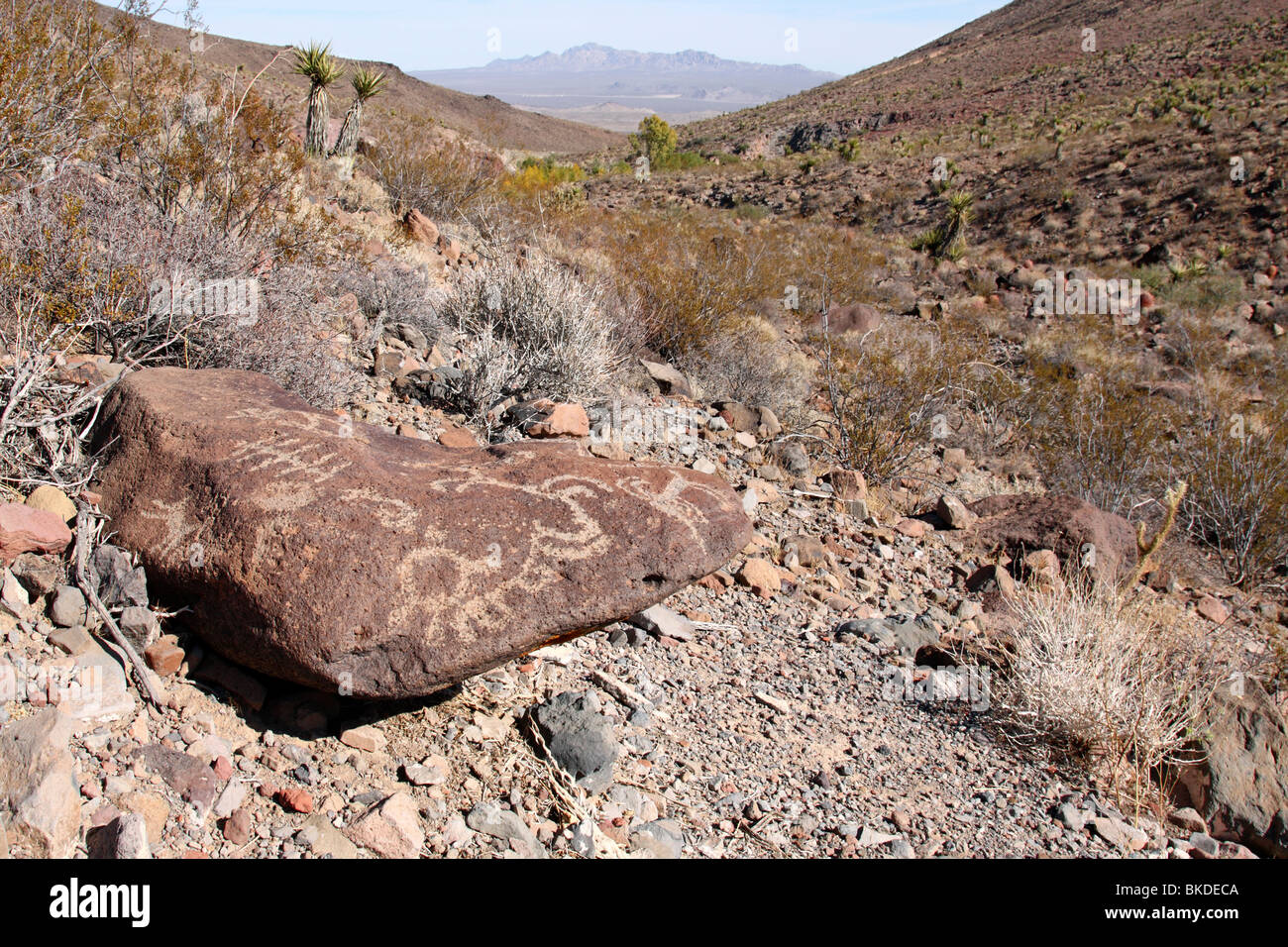 Pétroglyphes marquer un rocher près de Fort Piute à Mojave National Preserve Banque D'Images