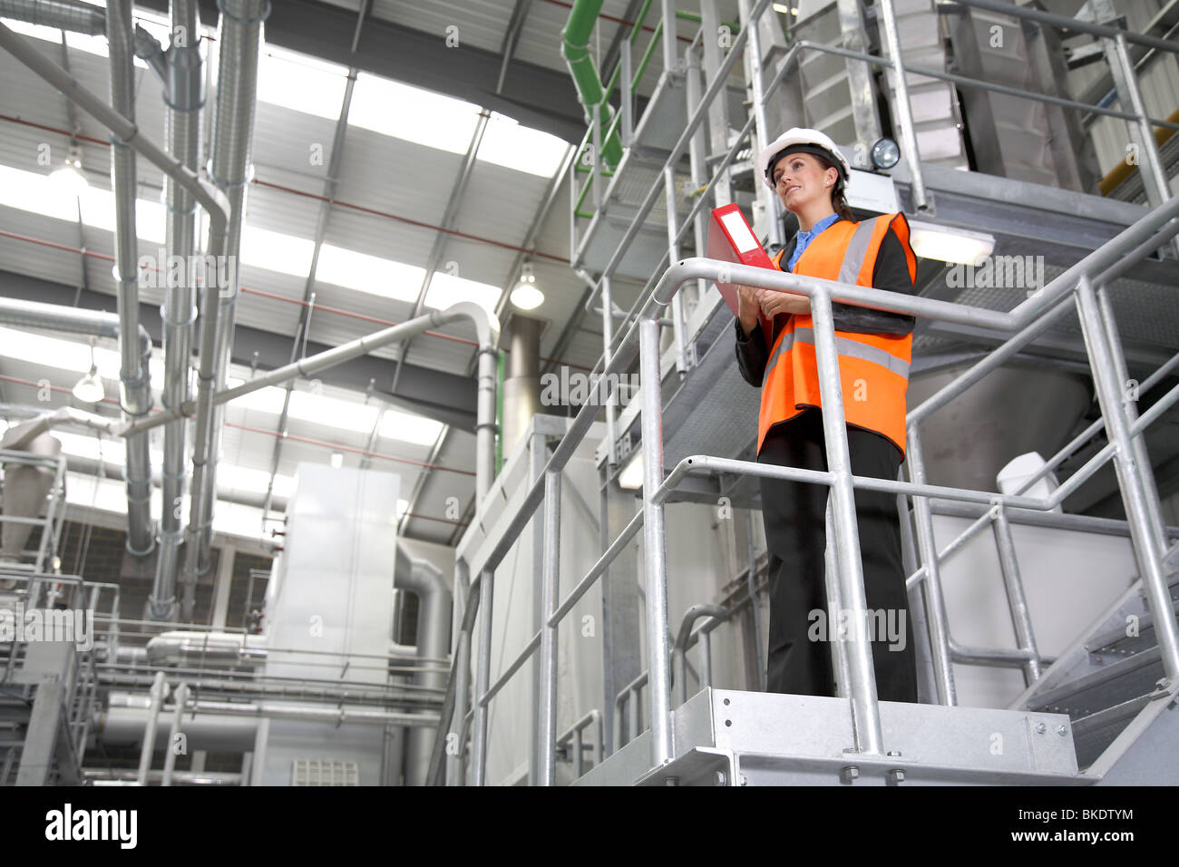 Gestionnaire d'usine femelle Banque D'Images