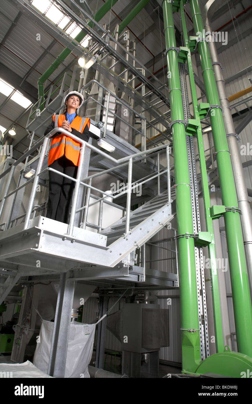 Gestionnaire d'usine femelle Banque D'Images