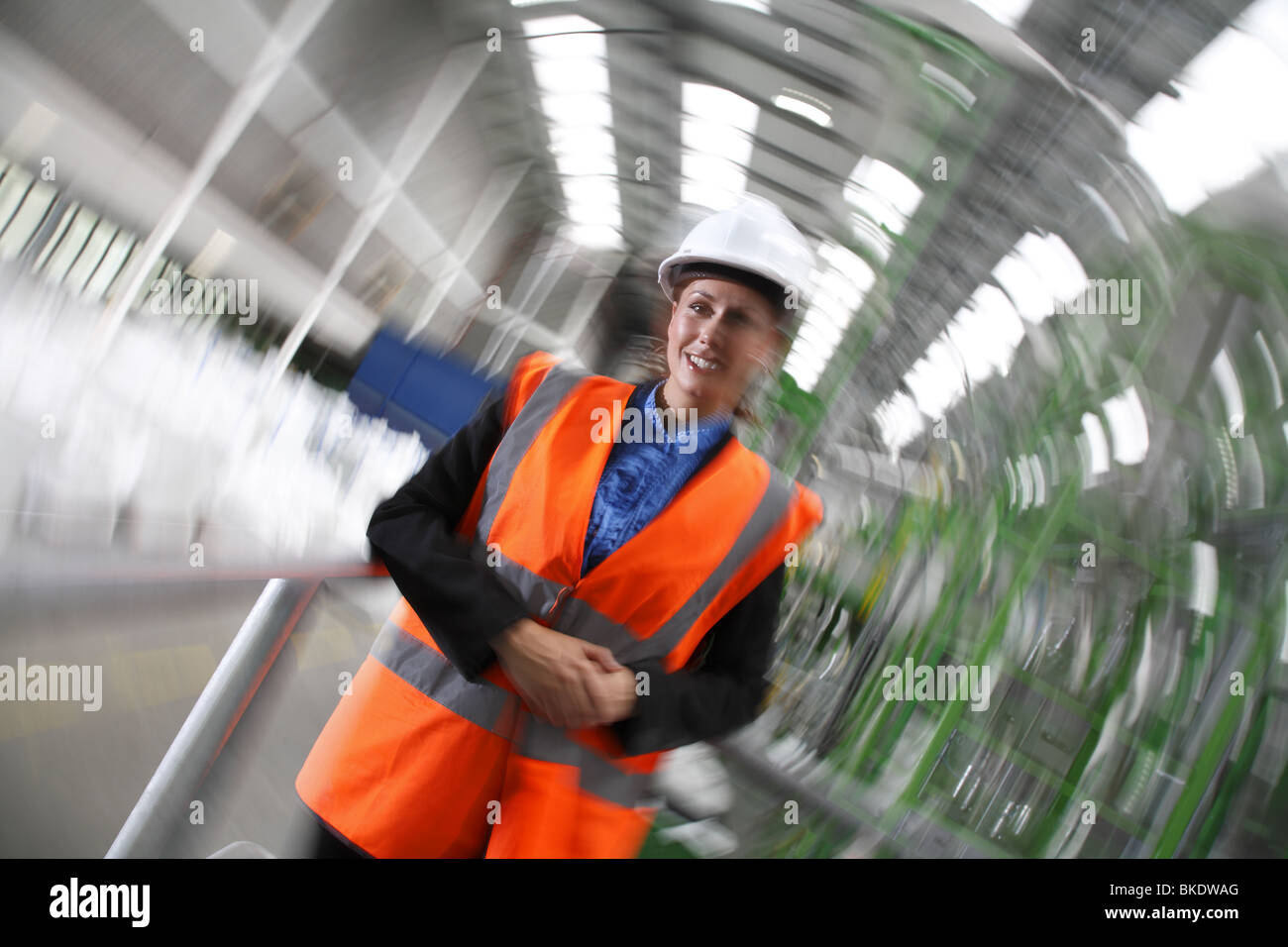 Gestionnaire d'usine femelle Banque D'Images