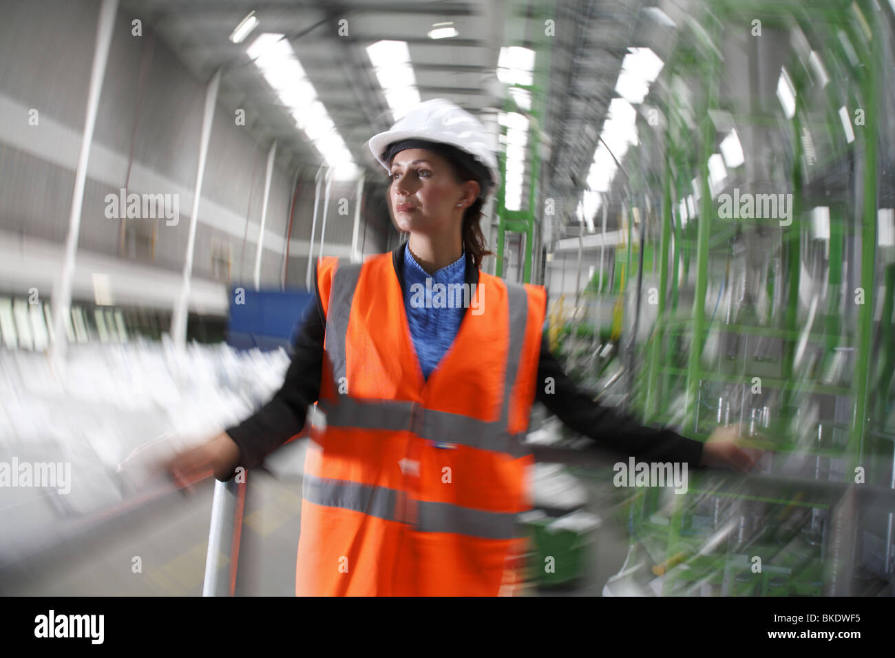 Gestionnaire d'usine femelle Banque D'Images