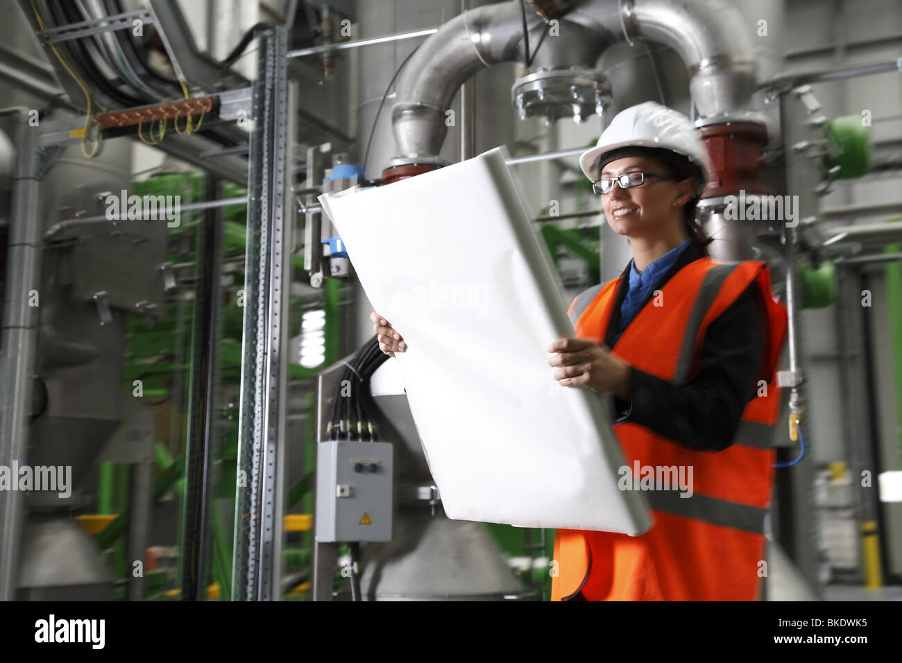 Gestionnaire d'usine femelle Banque D'Images