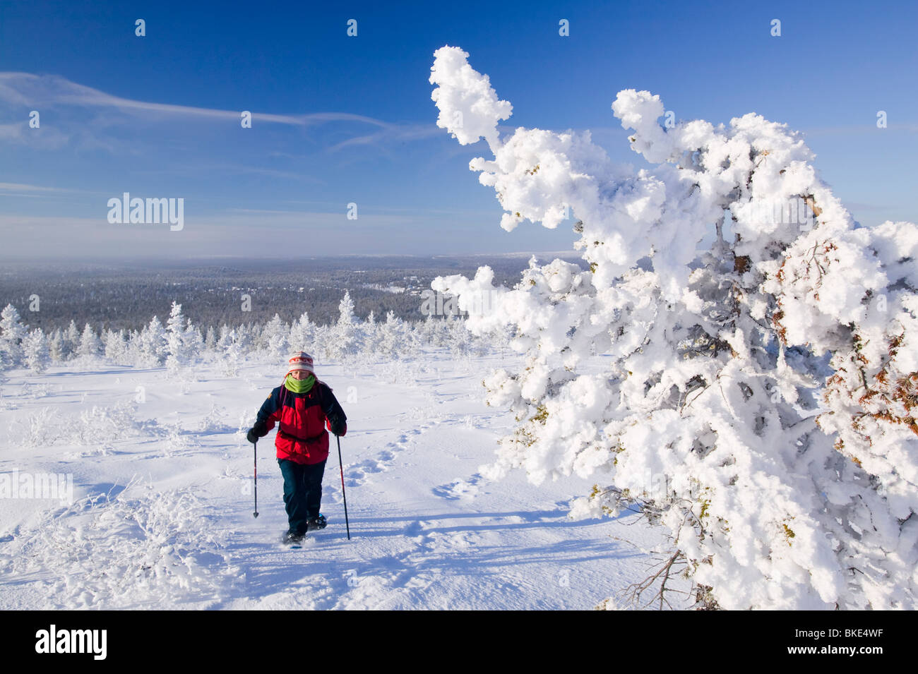 Une femme de la raquette dans le Parc National Urho Kehkkosen près de Houston Le nord de la Finlande Banque D'Images