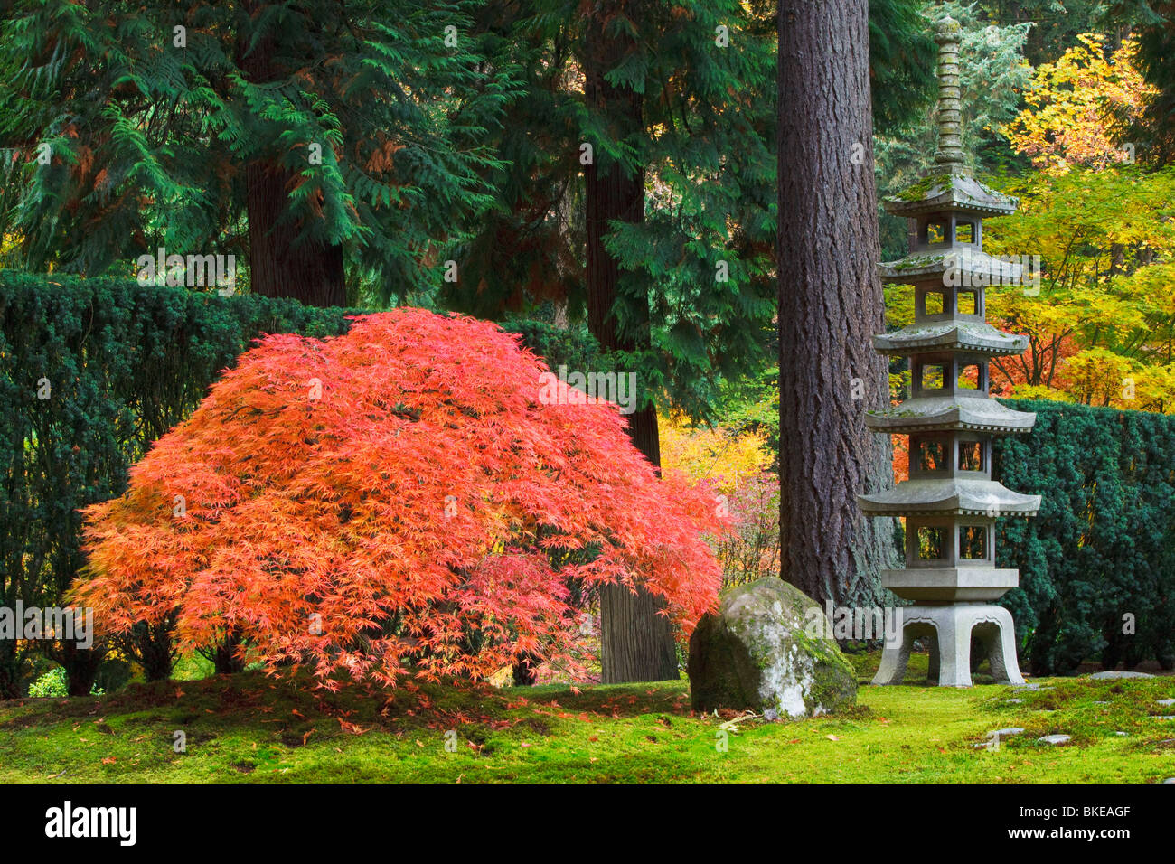 Jardin japonais de Portland, Portland, Oregon, USA Banque D'Images