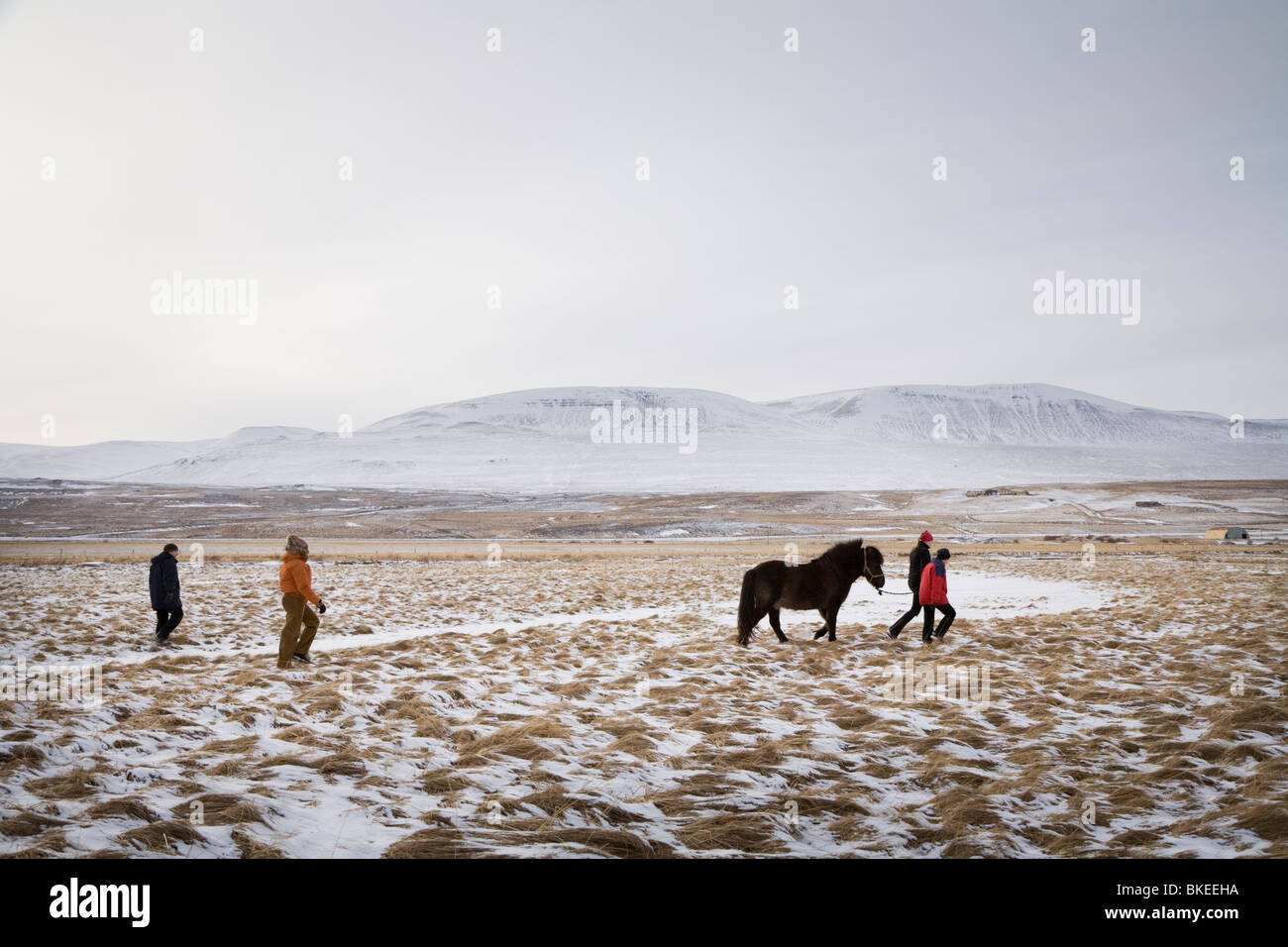 Quatre personnes avec un cheval, l'Islande Skagafjordur Banque D'Images