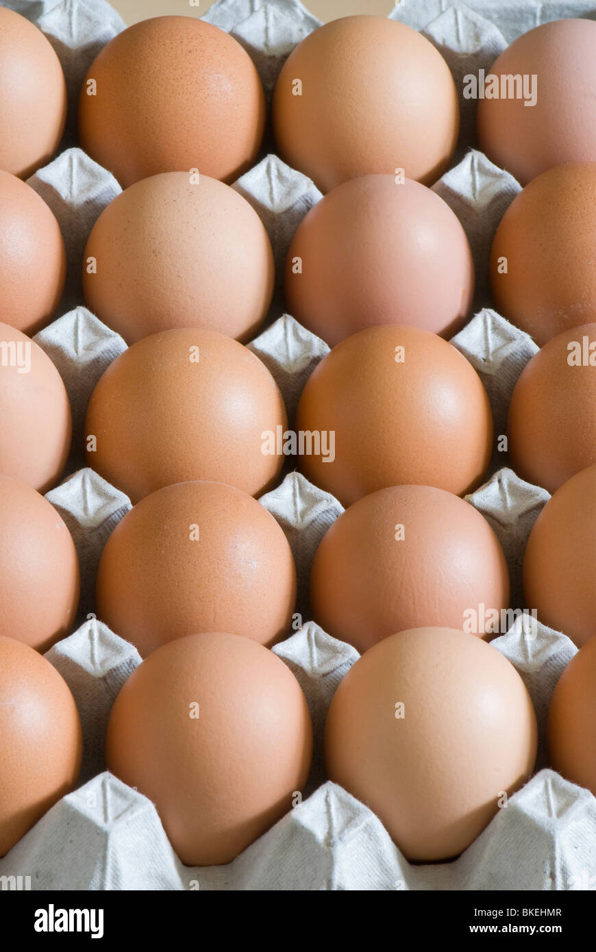 Les œufs de poule contenant en carton Banque D'Images
