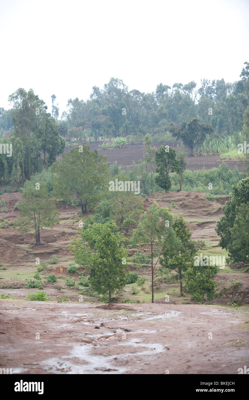 L'érosion du sol dans le sud de l'éthiopie Banque D'Images