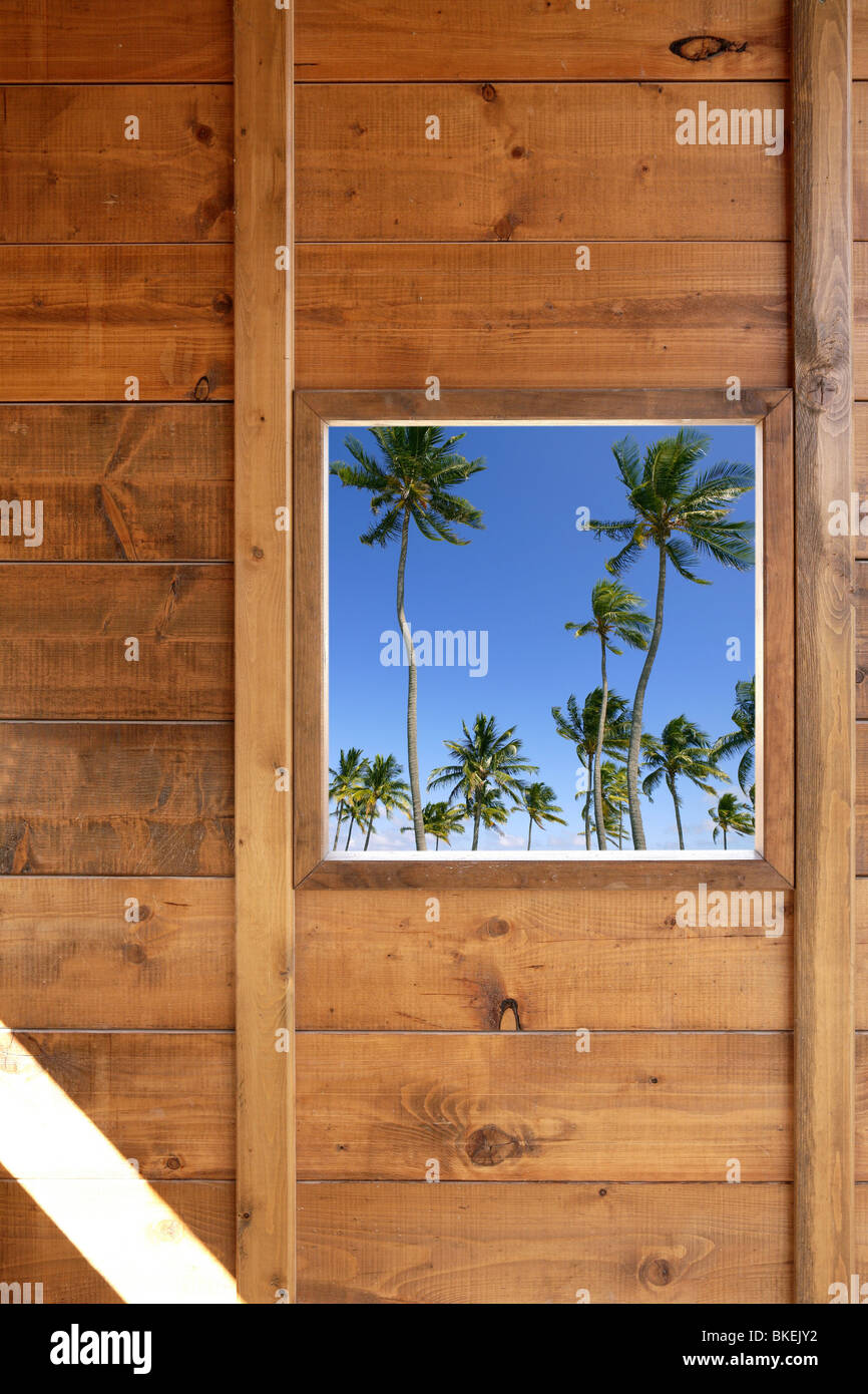 Palmiers tropicaux vue depuis la fenêtre de chambre en bois Prix Banque D'Images