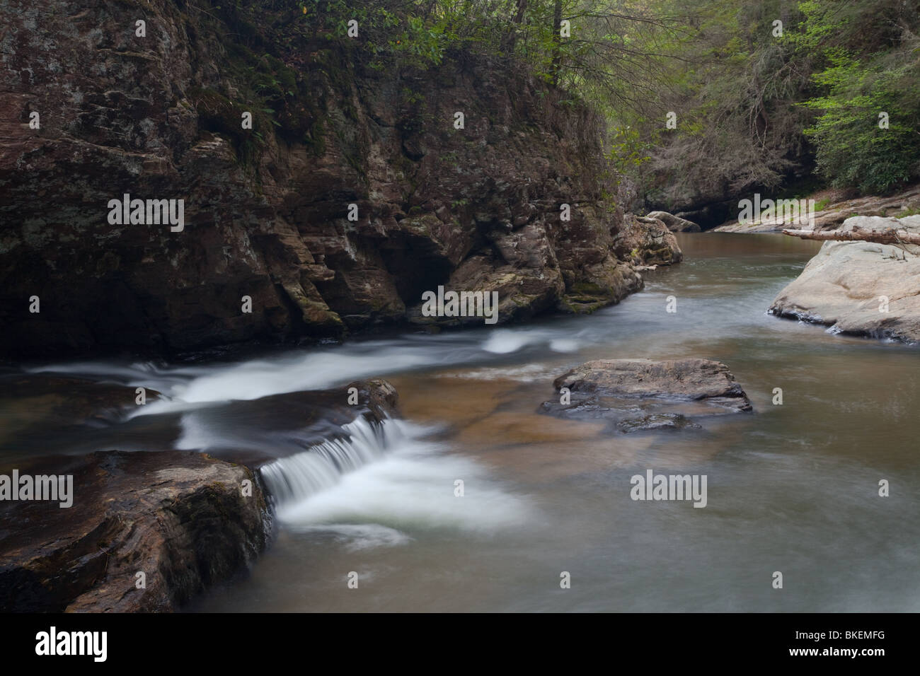 Chauga Chauga, rivière River Scenic Area, Andrew Pickens Ranger District, Sumter National Forest, Caroline du Sud Banque D'Images