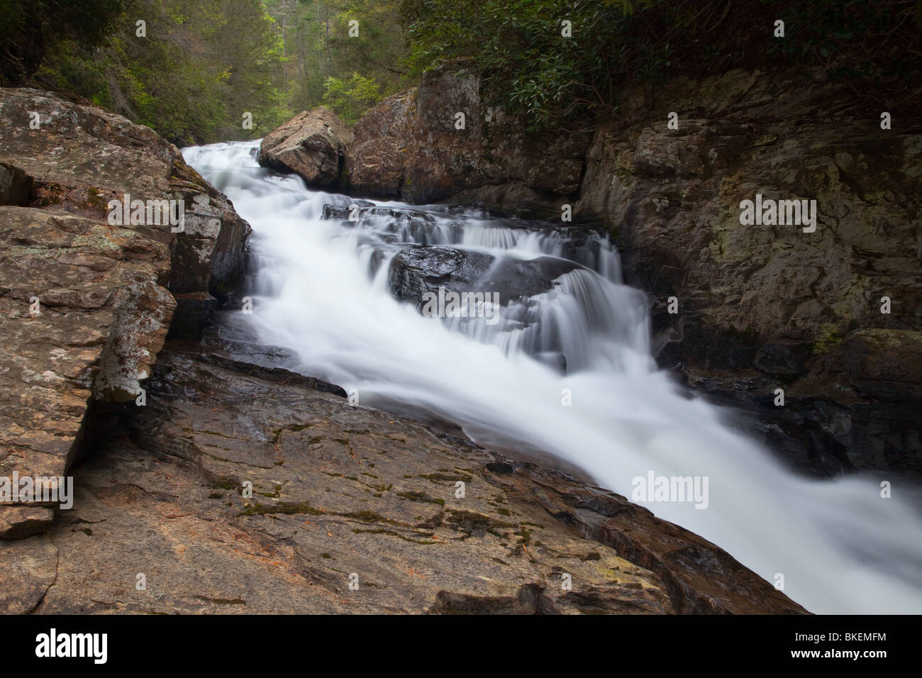 Chauga Chauga fleuve se rétrécit, River Scenic Area, Andrew Pickens Ranger District, Sumter National Forest, Caroline du Sud Banque D'Images