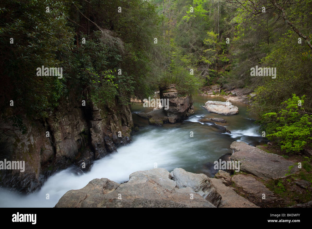 Chauga Chauga fleuve se rétrécit, River Scenic Area, Andrew Pickens Ranger District, Sumter National Forest, Caroline du Sud Banque D'Images