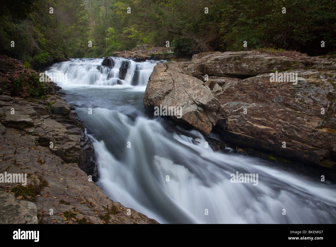 Chauga Chauga fleuve se rétrécit, River Scenic Area, Andrew Pickens Ranger District, Sumter National Forest, Caroline du Sud Banque D'Images