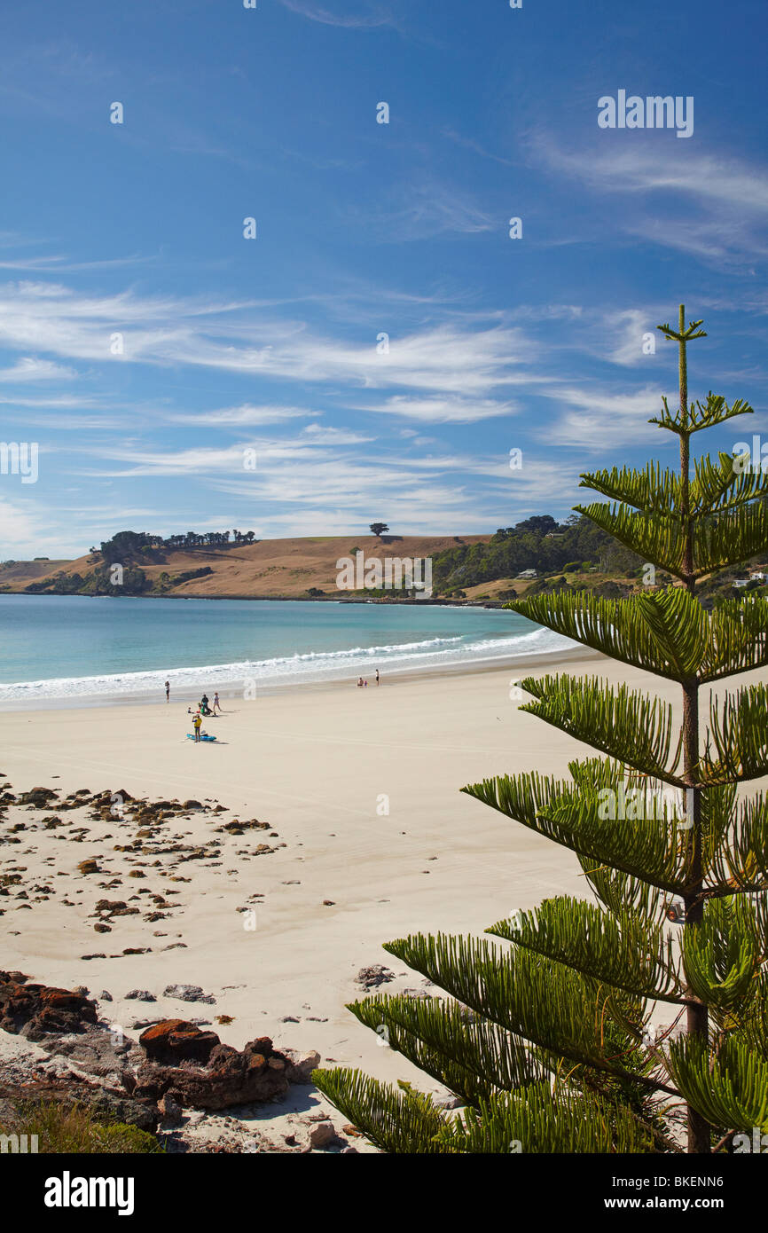 Boat Harbour Beach, au nord ouest de la Tasmanie, Australie Banque D'Images