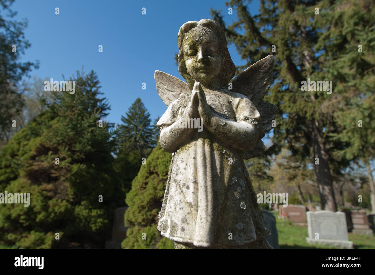 Une statue d'un enfant angélique est figée dans le temps avec ses' les mains jointes en prière silencieuse. Banque D'Images