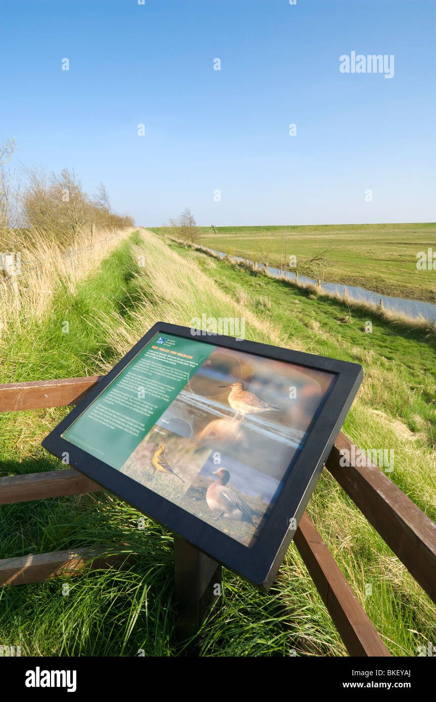 Freiston Shore RSPB Réserve d'oiseaux sauvages Lincolnshire UK Banque D'Images