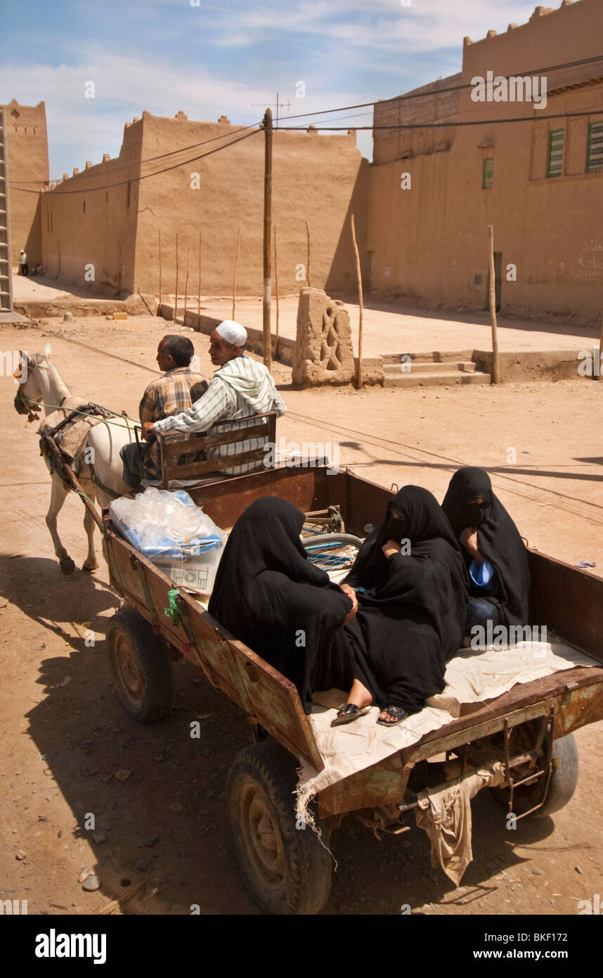 Les femmes islamiques en roulant à l'arrière d'une charrette à cheval au Maroc Banque D'Images