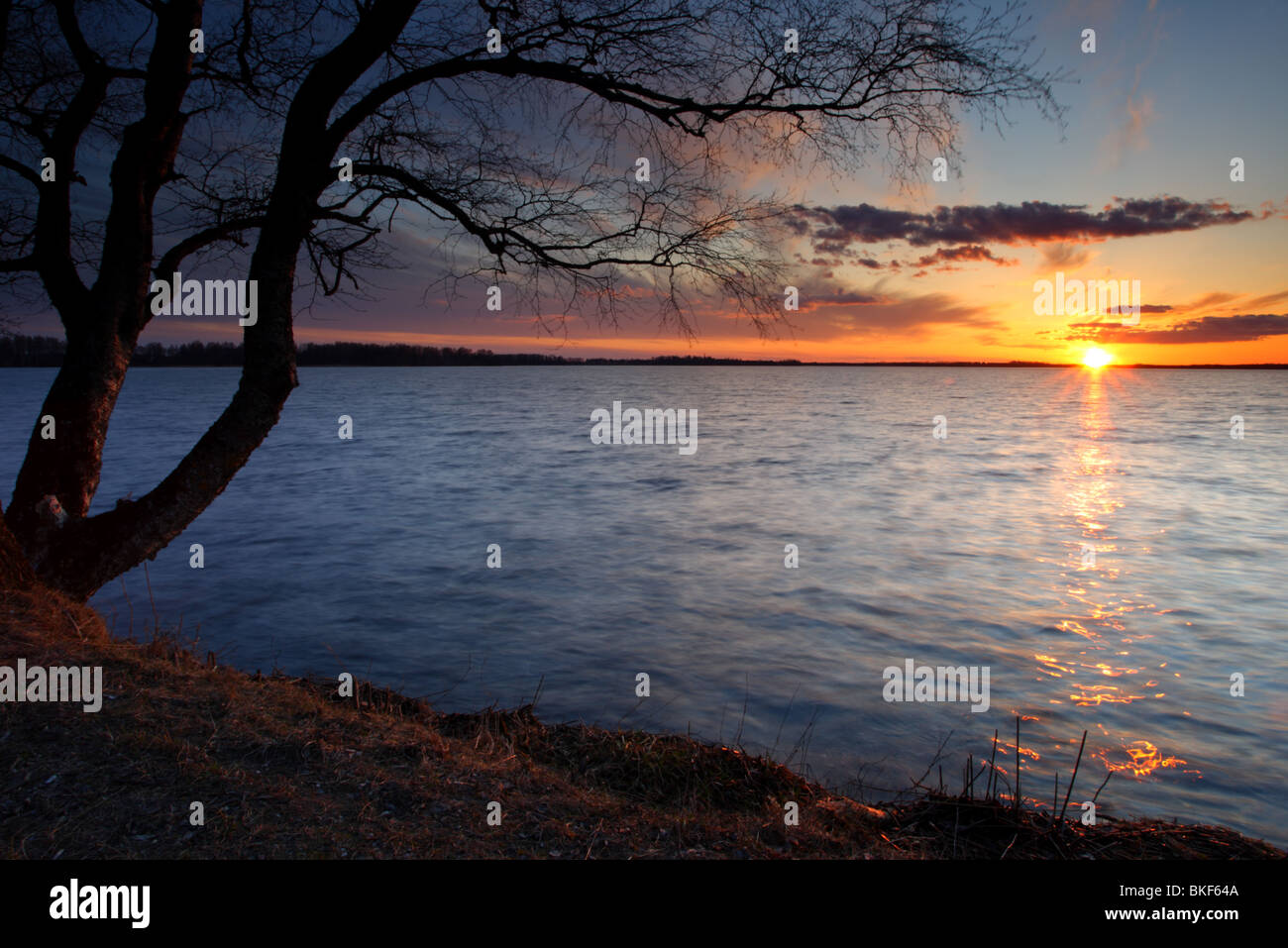 Coucher du soleil sur le lac d'Saadjärve, printemps 2010, Estonie, Europe Banque D'Images