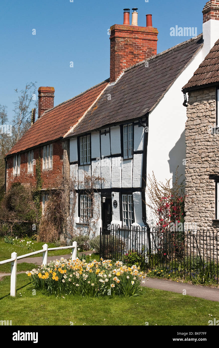 Cottage avec jonquilles en Steeple Ashton Wiltshire England UK UE Banque D'Images