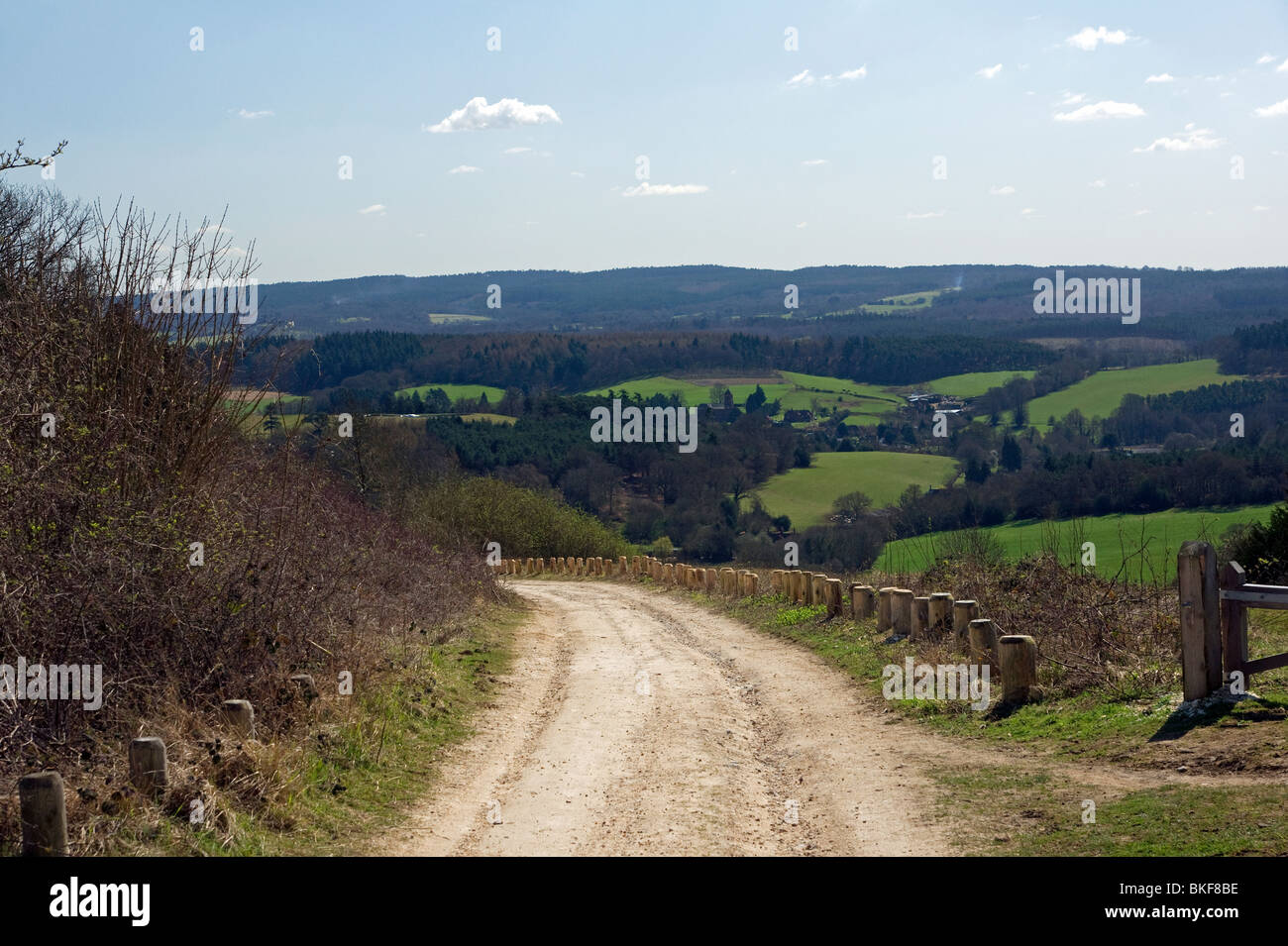 La vue de Newlands Corner dans les North Downs Way près de Guildford dans le Surrey Banque D'Images