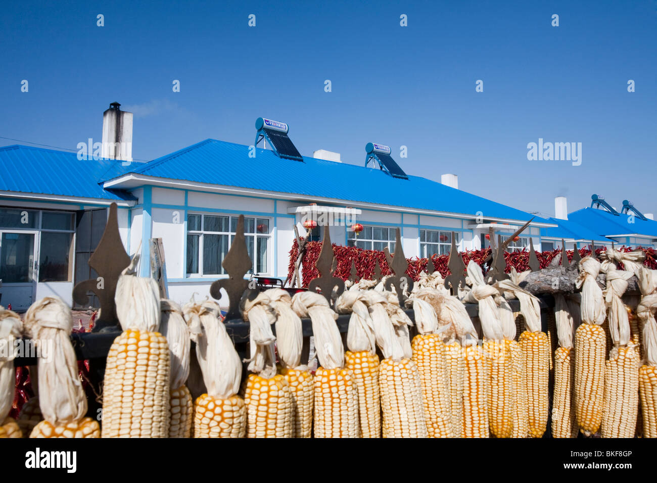 Des panneaux solaires sur les nouveaux logements près de Linfen ville de Chine Banque D'Images