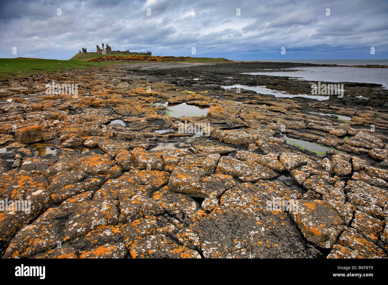 Paysage plage ruines Château de Dunstanburgh au nord de la côte de Northumbrie Northumbrie en Angleterre Banque D'Images