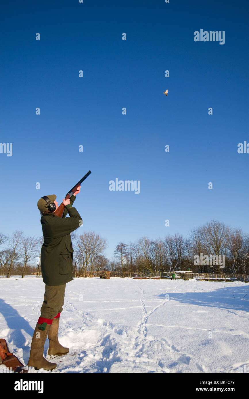 Tournage de faisans dans la neige sur une journée ensoleillée Banque D'Images