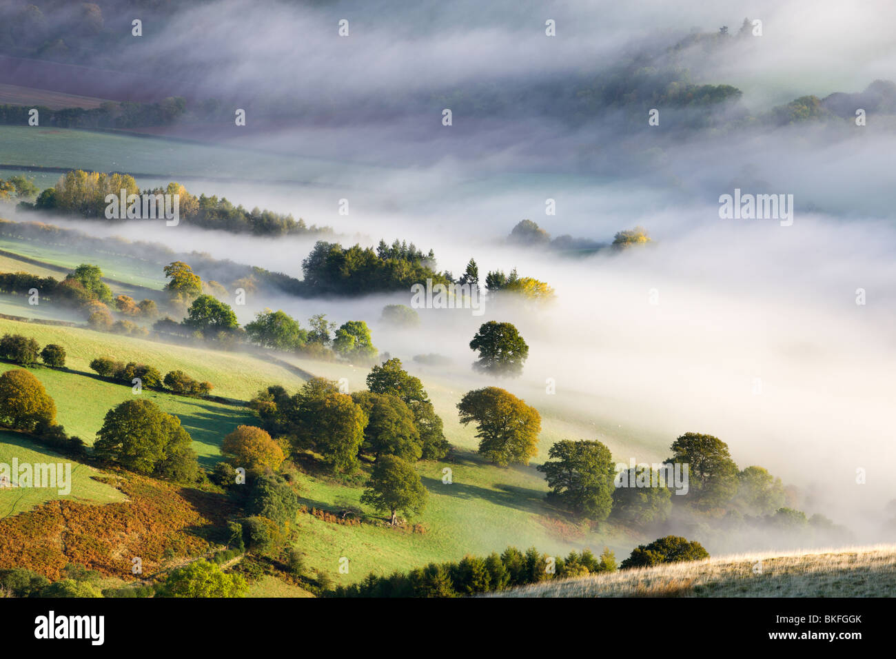 Campagne vallonnée, couverte de brume dans la vallée de l''Usk, parc national de Brecon Beacons, Powys, Wales, UK. L'automne (octobre) 2009 Banque D'Images