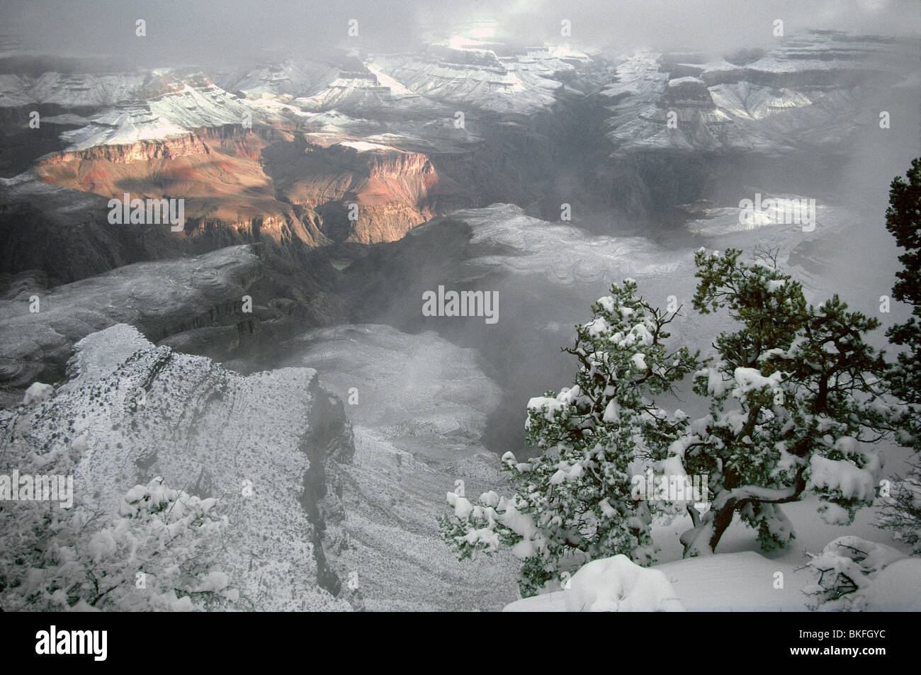 Tempête de l'hiver à Grand Canyon, vue à partir de la rive sud, le Parc National du Grand Canyon, Arizona, USA Banque D'Images