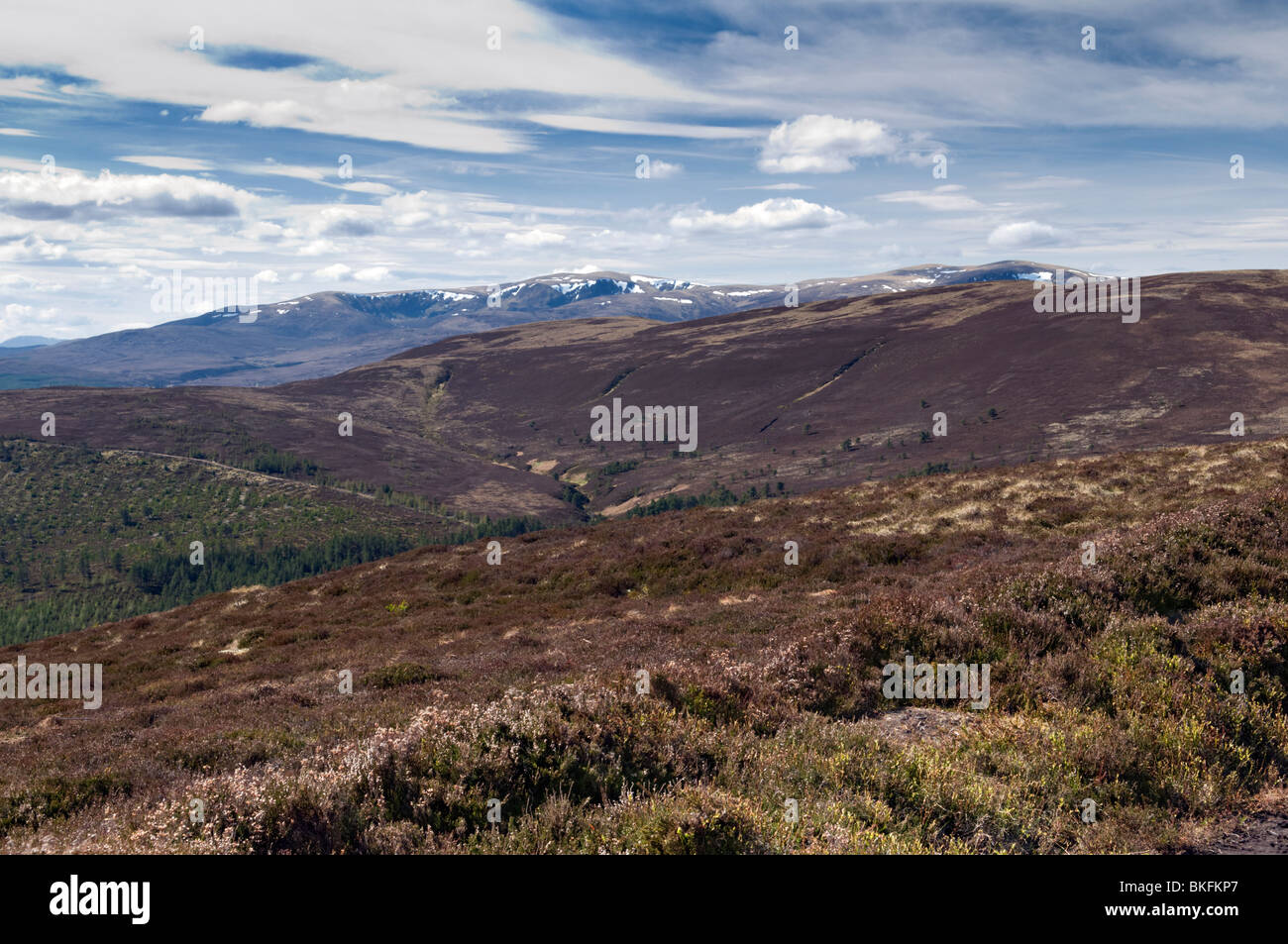 Vue de cnoc Fyrish près de Alness avec ses montagnes couvertes de bruyère à vers Ben Wyvis Banque D'Images