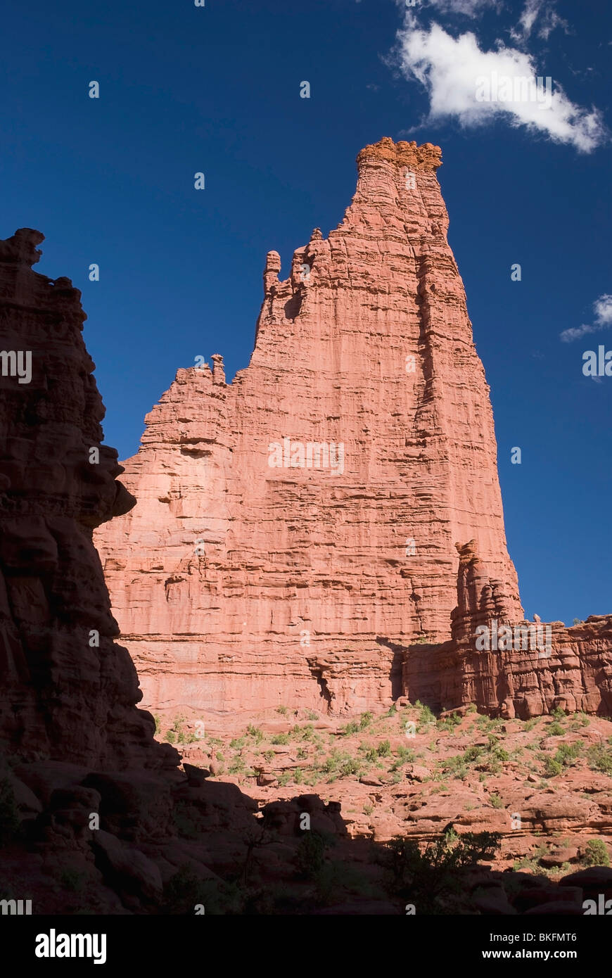 L'Utah, États-Unis d'Amérique ; l'Fisher Towers Banque D'Images