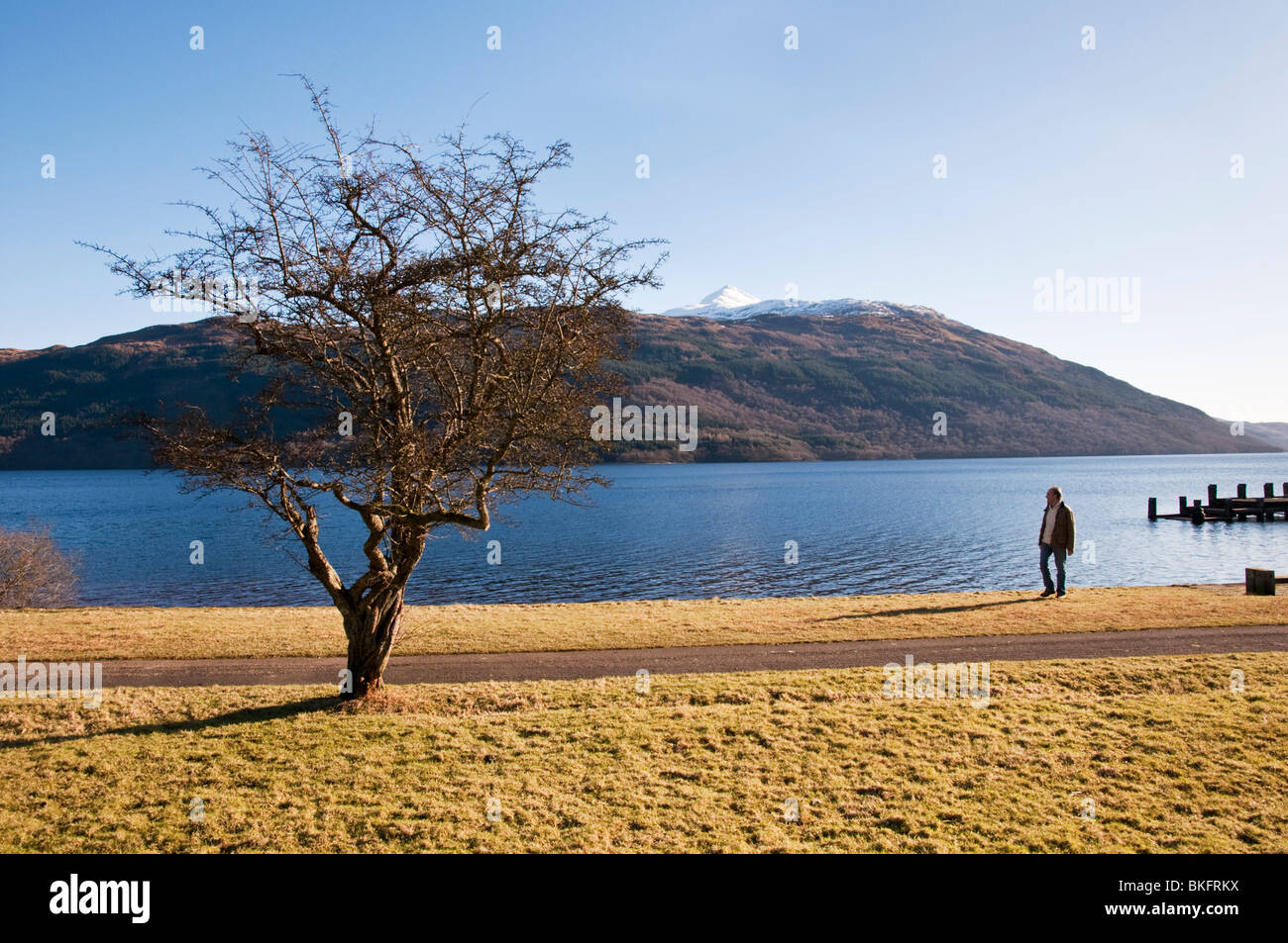 L'eau/à Tarbet sur la rive ouest du Loch Lomond, Ecosse, Royaume-Uni. Banque D'Images