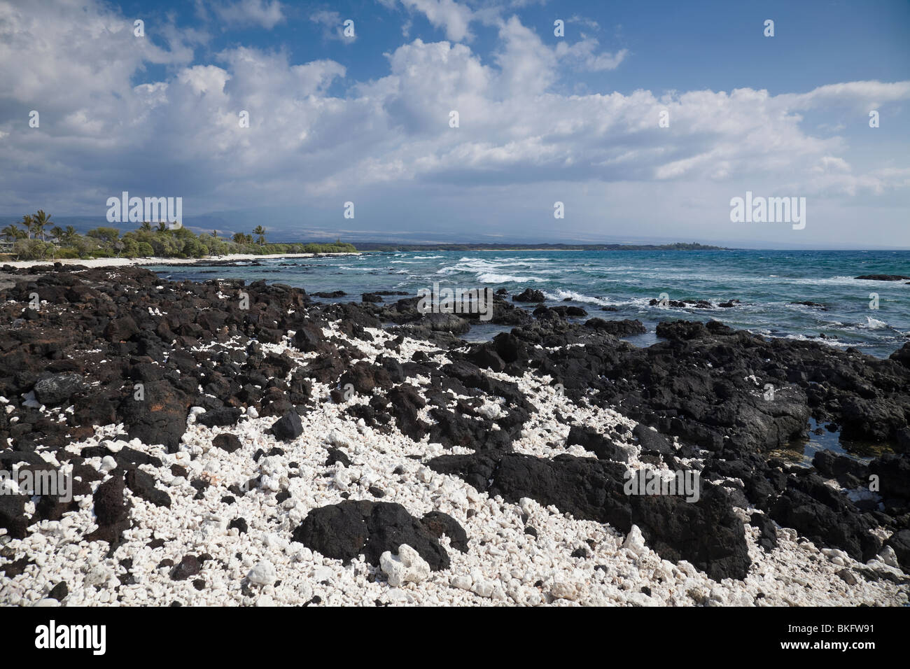 Coral et flanc lave Anaeho'omalu Bay. Banque D'Images