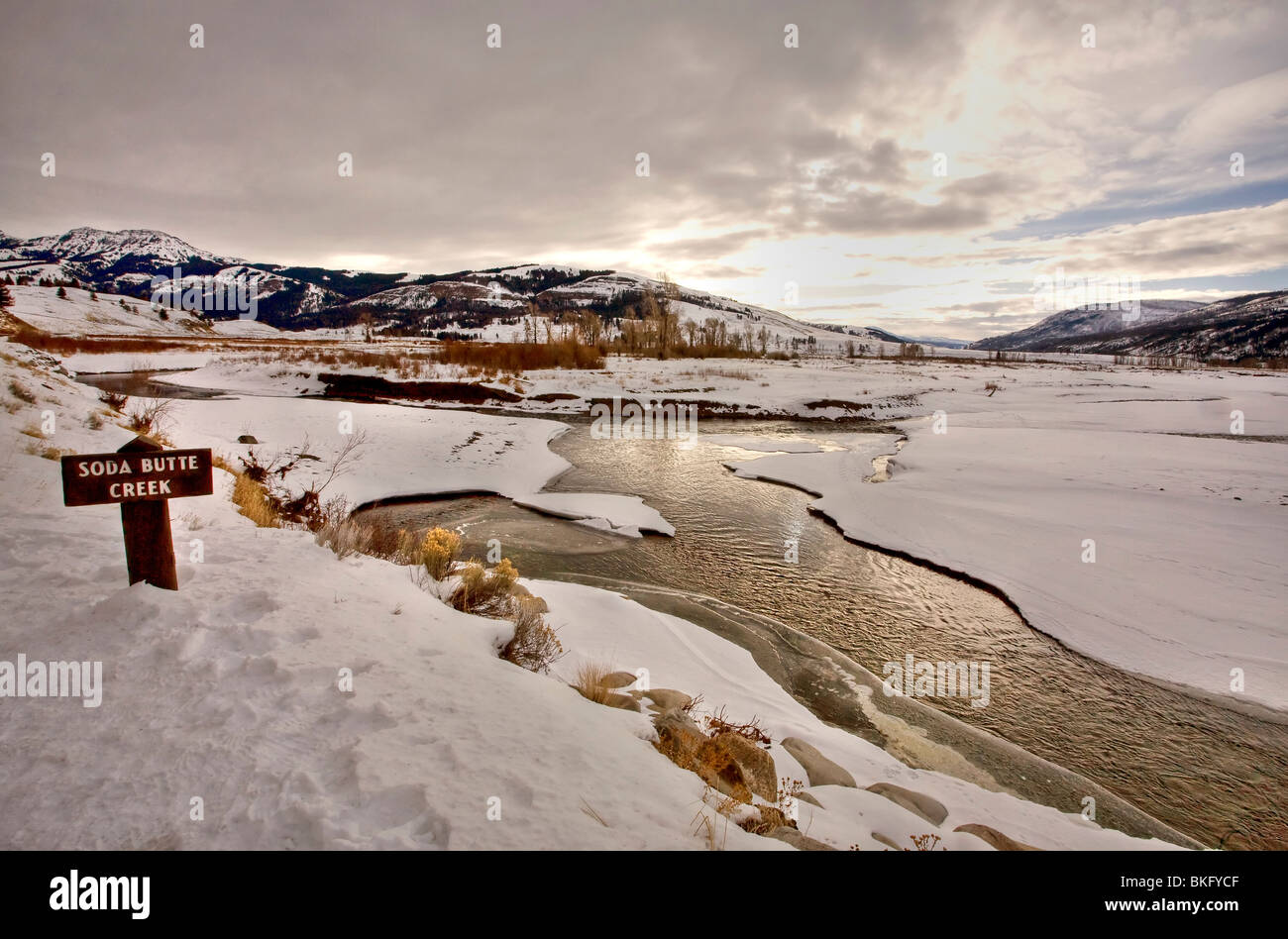 Le Parc de Yellowstone au Wyoming hiver neige soda butte creek Banque D'Images