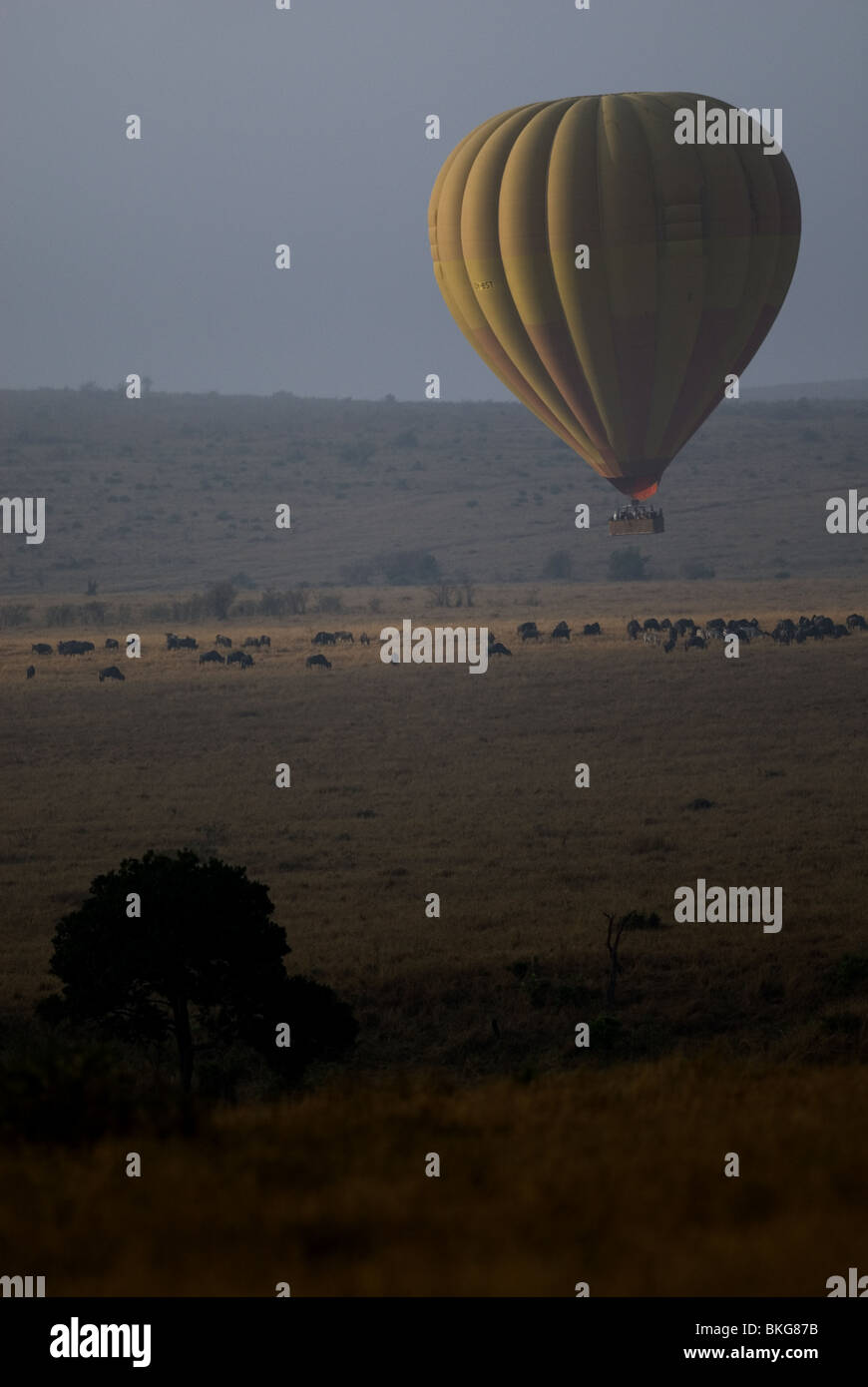 Vol en montgolfière sur le Masai Mara, Kenya. Banque D'Images