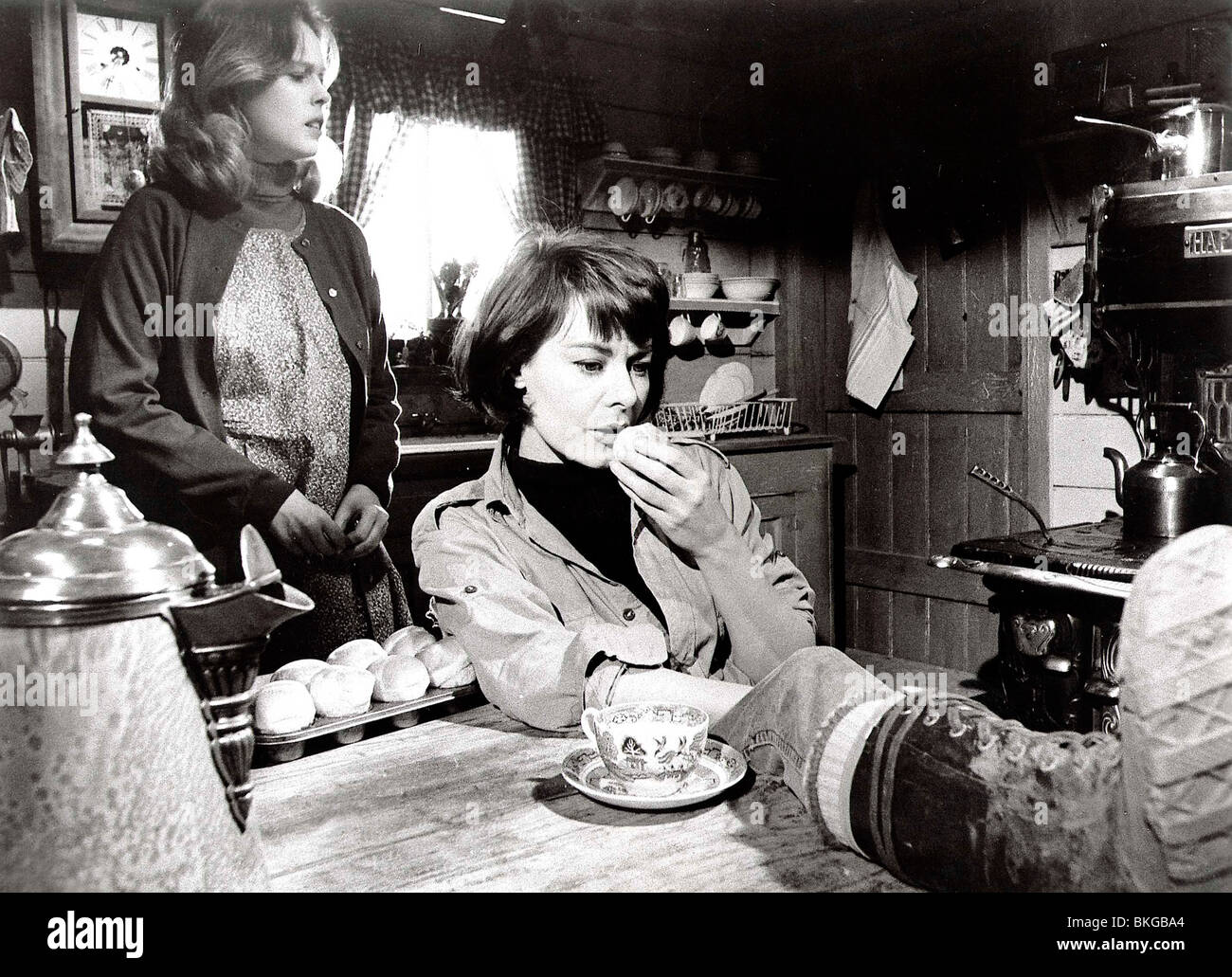 La FOX (1968) SANDY DENNIS, ANNE HEYWOOD FOX 001 Banque D'Images