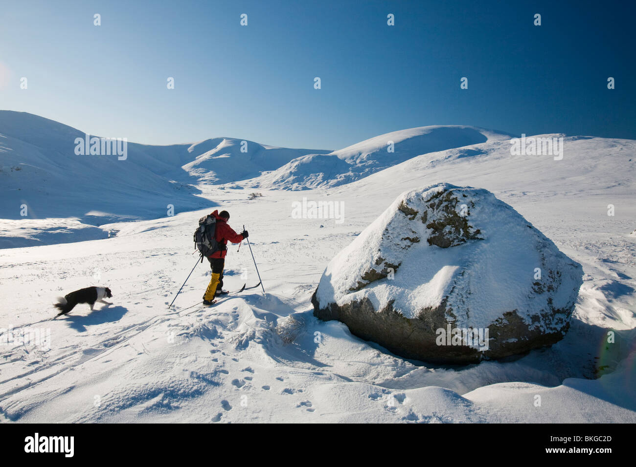 Mike Garrot à l'aide de skis de fond à descendre le pic de Grand Dodd, à 2800 pieds, sur la fin de la gamme Helvellyn, UK Banque D'Images