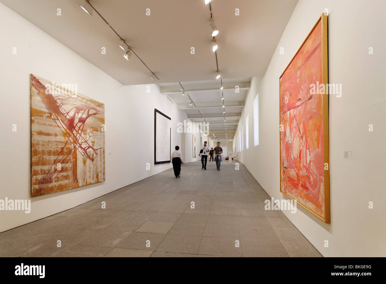 Museo Nacional Centro de Arte Reina Sofia (Musée de la Reine Sofia, Madrid, Espagne) Banque D'Images