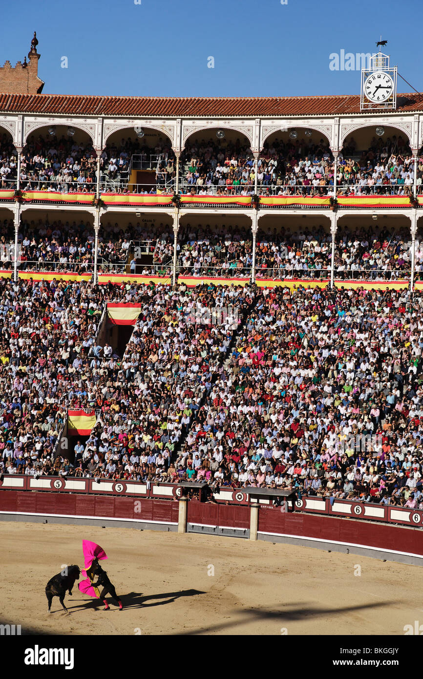 Corrida (corrida de toros), les arènes de Las Ventas, Madrid, Espagne Photo  Stock - Alamy