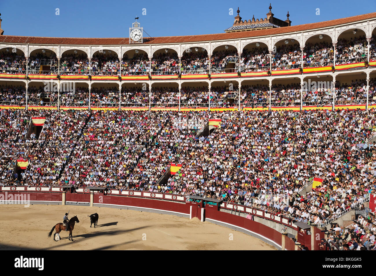 Corrida (corrida de toros), les arènes de Las Ventas, Madrid, Espagne