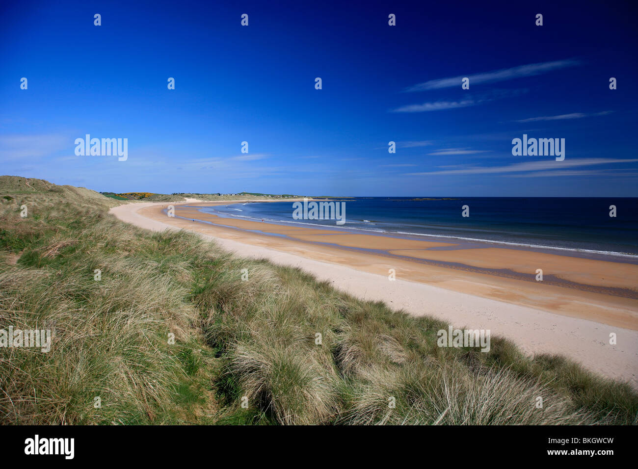 Les patrons de sable à Embleton Bay Beach au nord de la côte de Northumbrie Northumbrie en Angleterre Banque D'Images