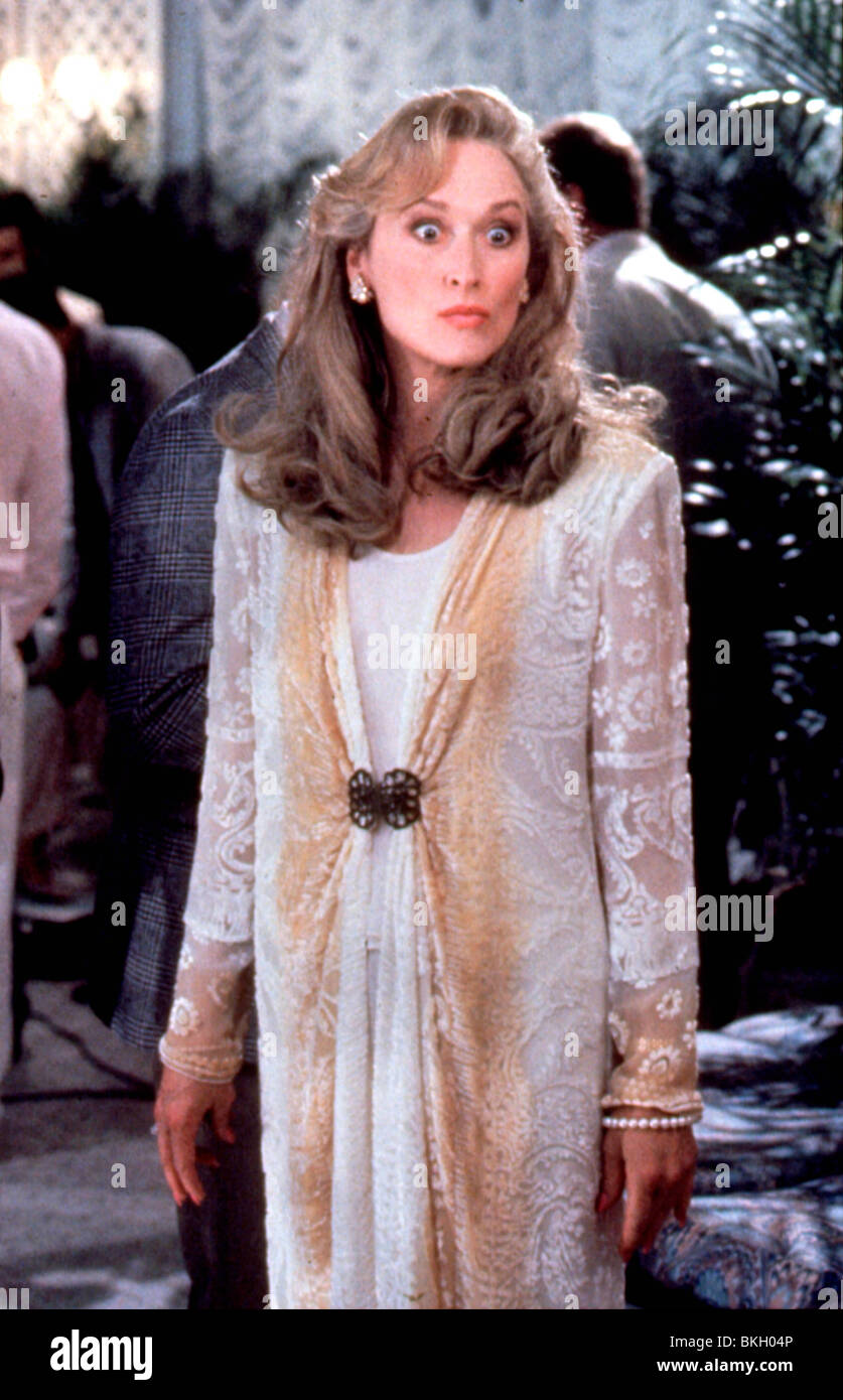 Elle DEVIL -1989 Meryl Streep Banque D'Images