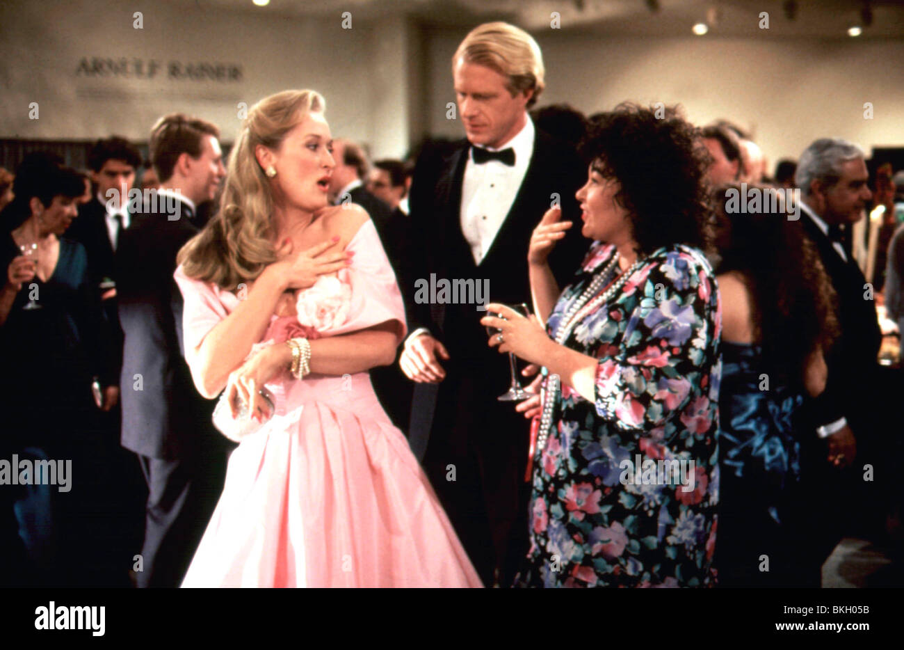 Elle DEVIL (1989), Meryl Streep, ED BEGLEY JR, ROSEANNE BARR SHDV 056 Banque D'Images