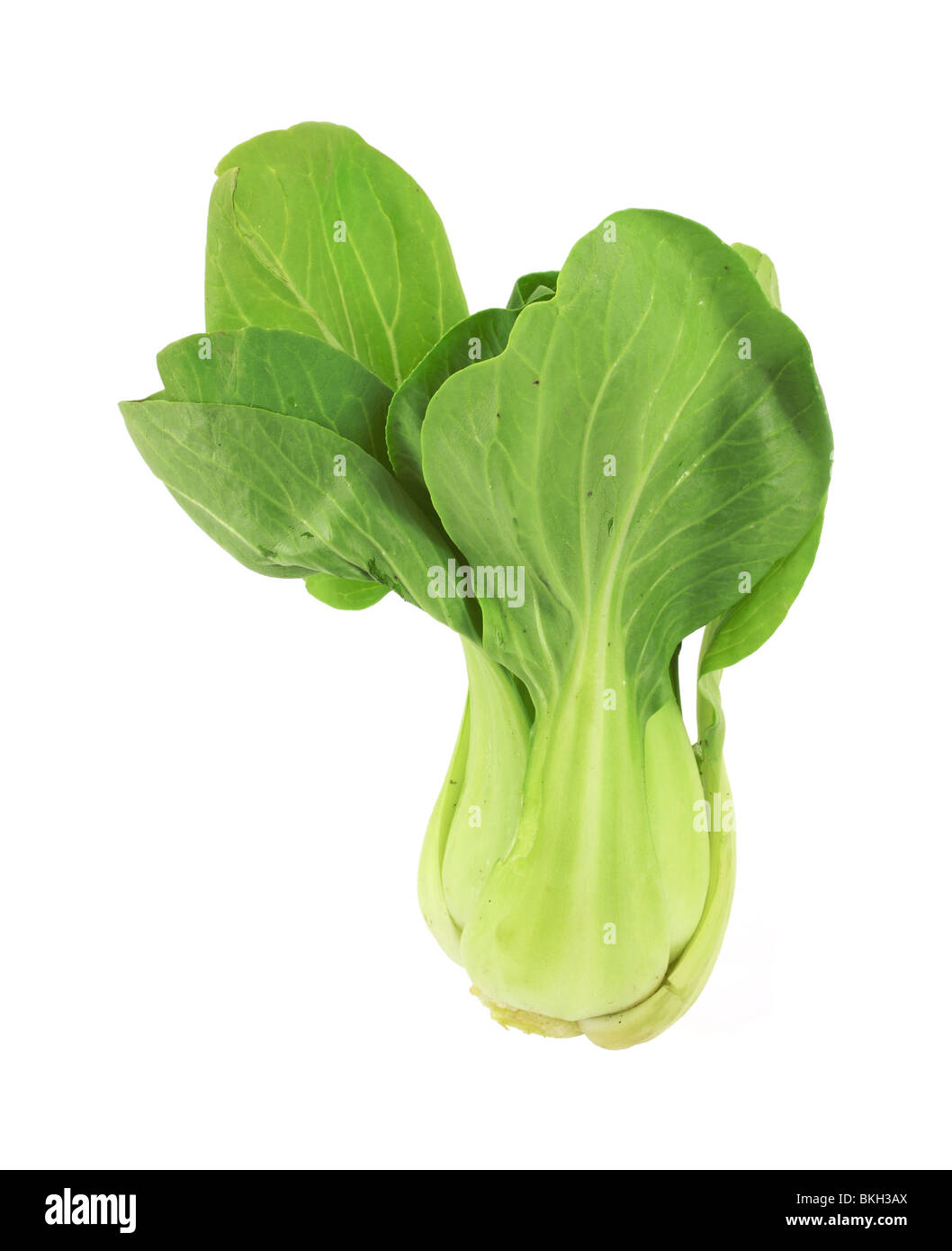 Organic baby bok choy Banque D'Images