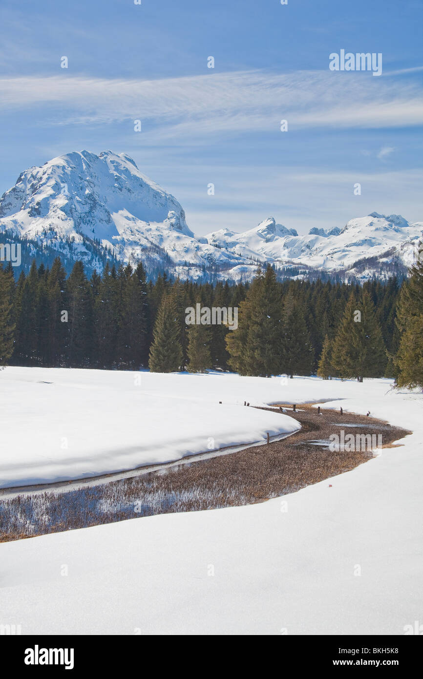 Parc national de Durmitor, hiver, neige, Monténégro Banque D'Images