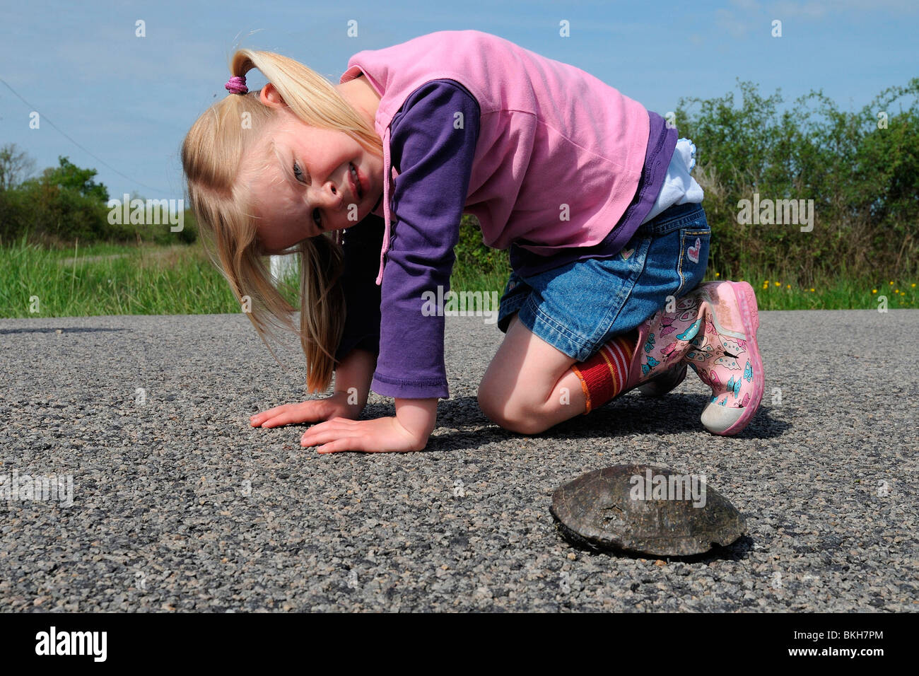 Moerasschildpad op de weg ; Turtle crossing road Banque D'Images